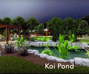 koi-pond01